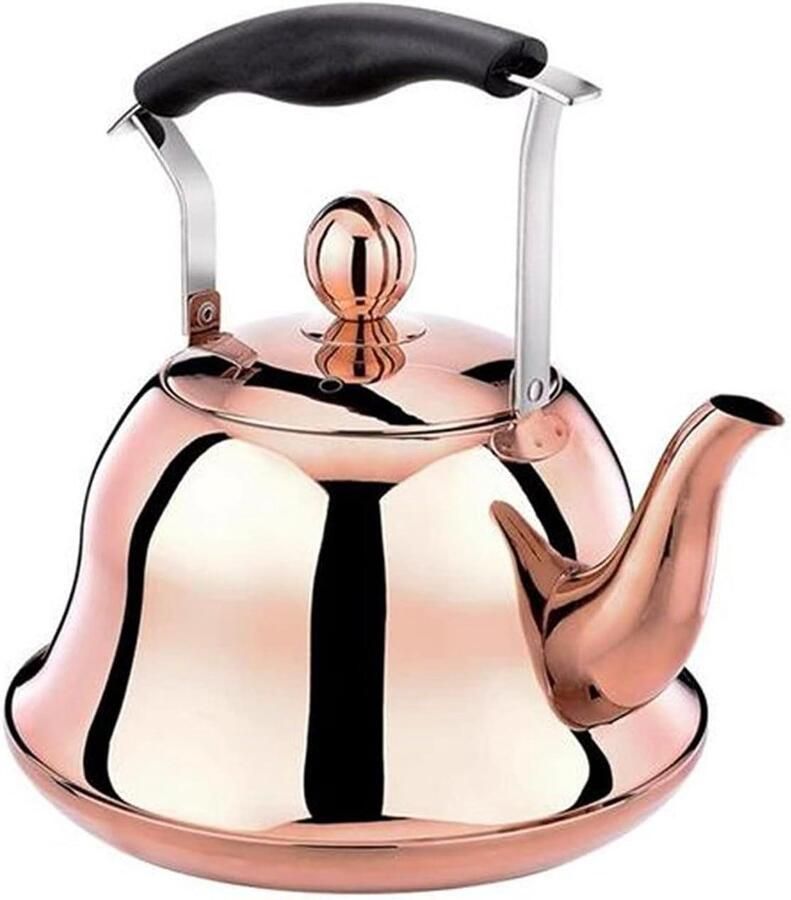 Fluitketel RVS Theepot Waterkoker Water Koken Signaal bij Kookpunt 2.0 Liter Zilver