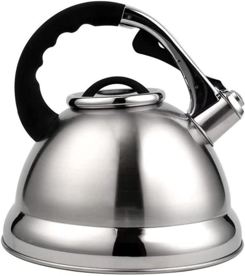 Fluitketel RVS Waterketel Keuken Water Koken Verdikte Bodem 4.2L Zilver