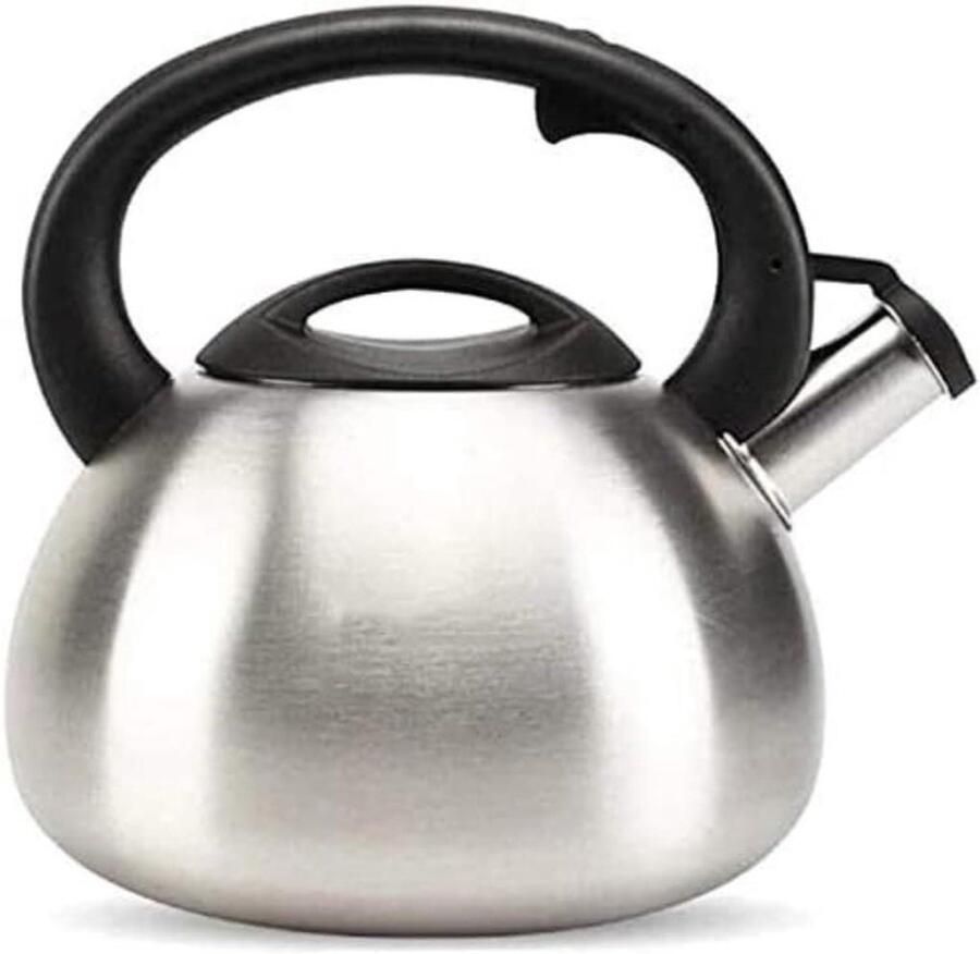 Fluitketel RVS Waterketel Theepot Thee Zetten Anti-verbrandingshandvat 3.5L Zilver