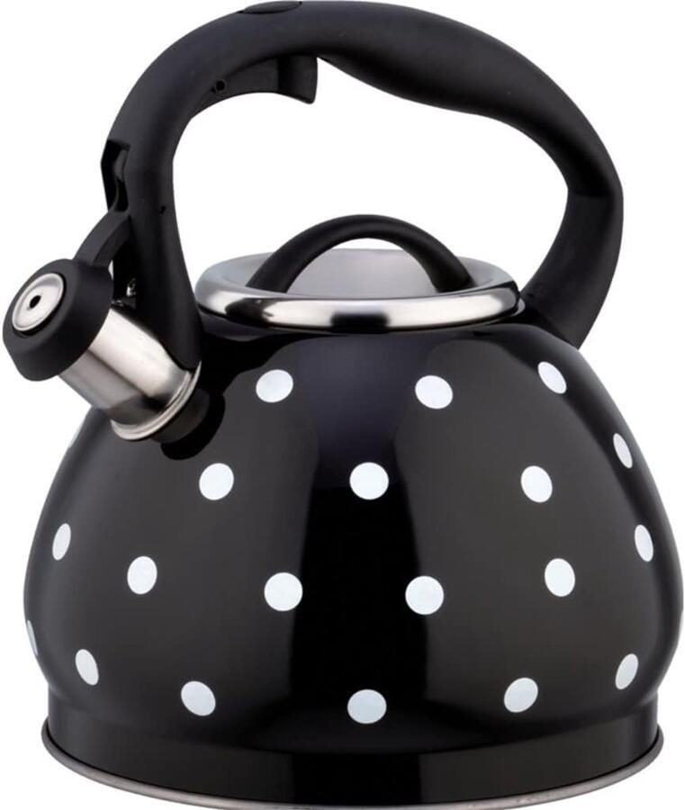 Fluitketel Rvs Waterketel Theepot Thee Zetten Warmte Isolerend Handvat 3 Liter Inhoud Zwart
