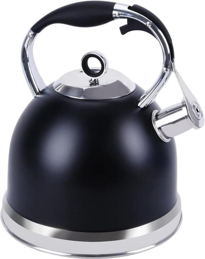 Fluitketel RVS Waterketel Theepot Water Koken Hittebestendig Handvat 3 Liter Zilver
