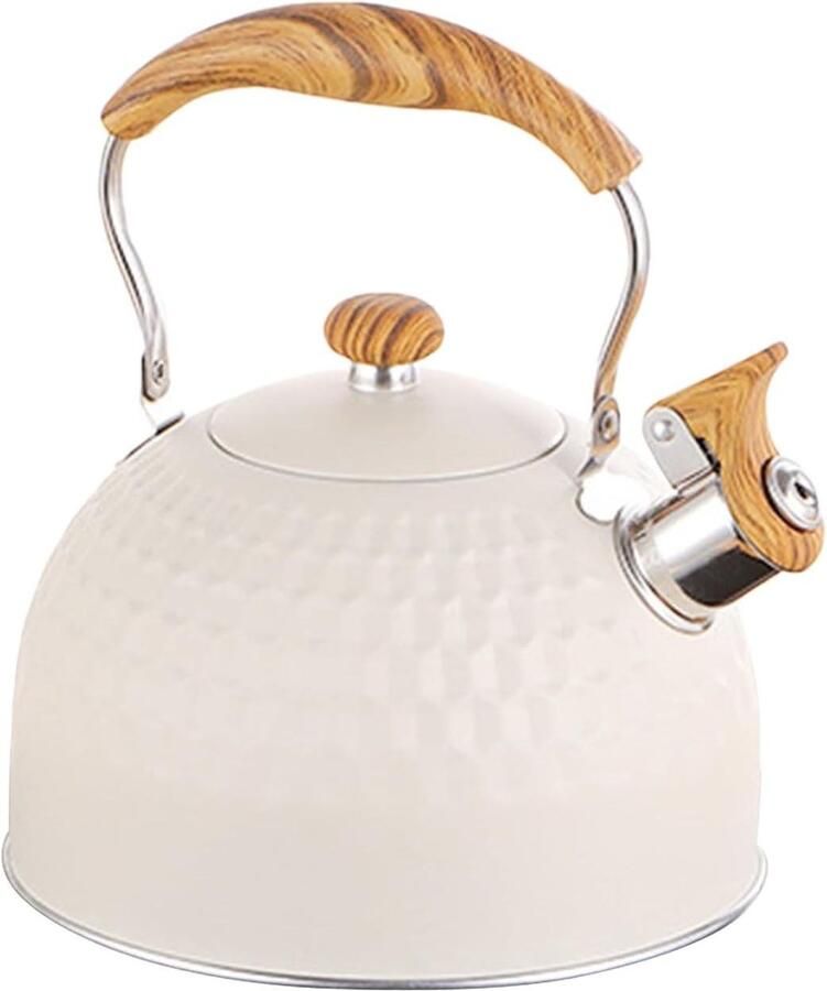 Fluitketel RVS Waterkoker Keuken Water Koken Snelle Warmteverdeling 2.5L Zilverkleurig