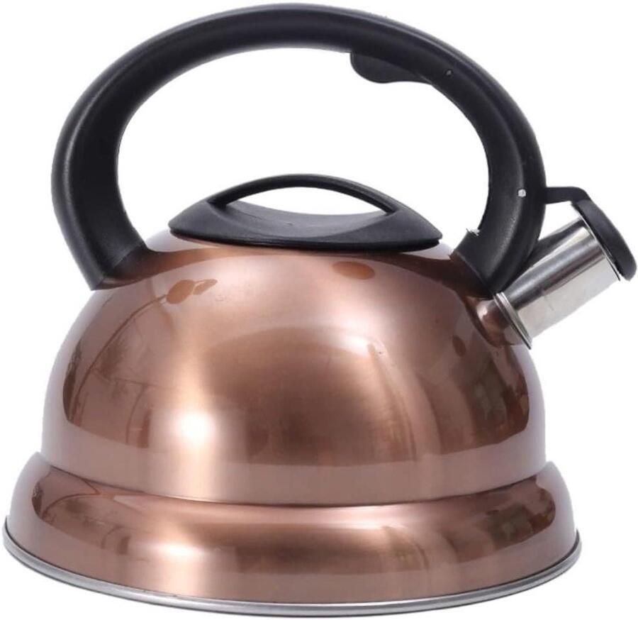 Waterkoker Fluitketel Koffieketel Theeketel Water Koken Roestvrij Staal 3 Liter Zilver