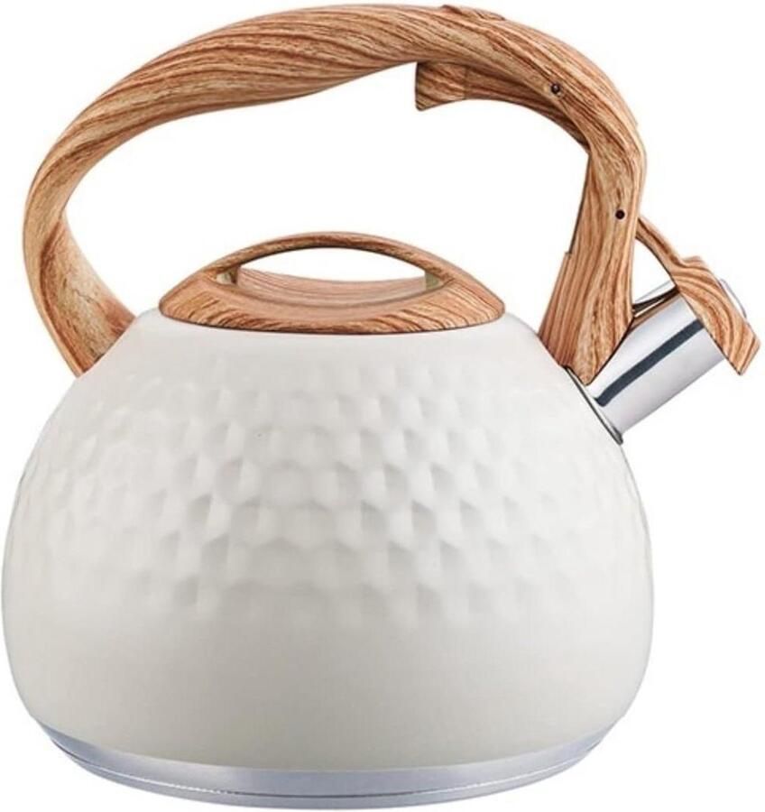 Fluitketel RVS Waterkoker Theepot Water Koken Grote Inhoud 3L Wit