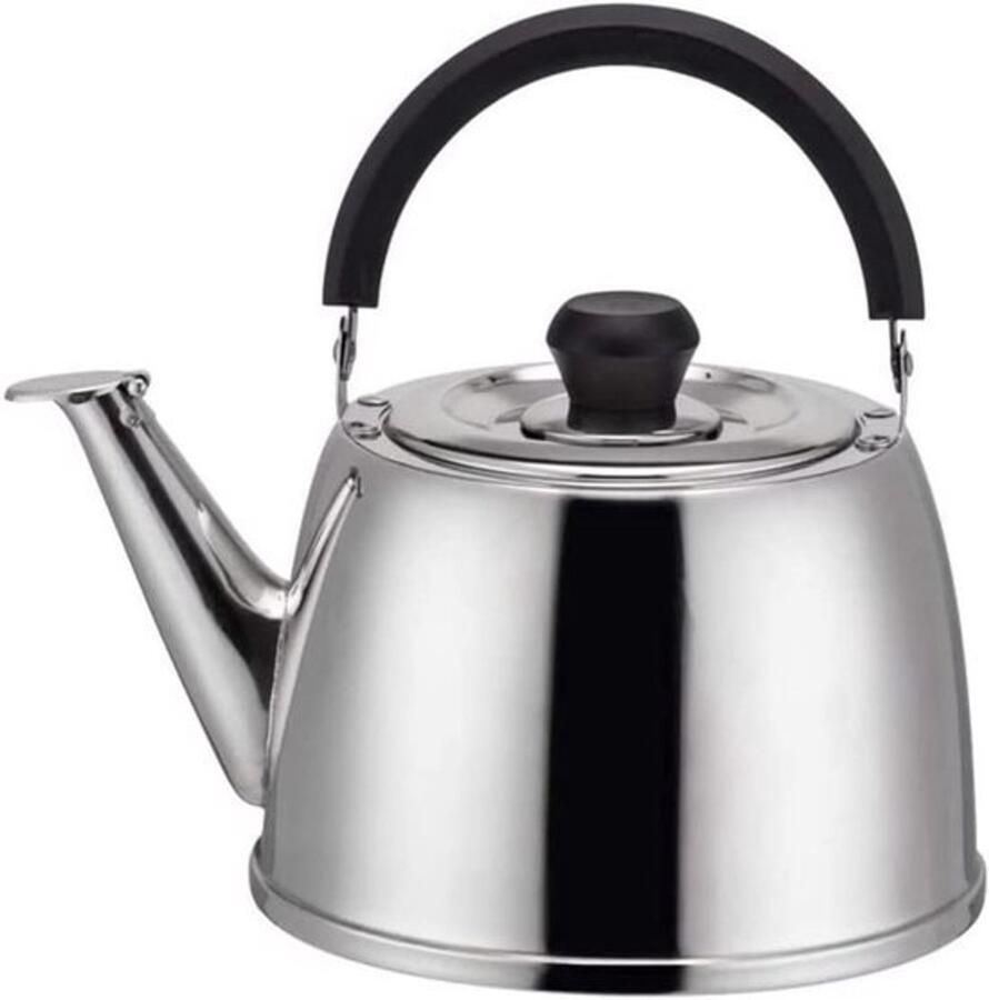 Fluitketel RVS Waterkoker voor de keuken Water koken Duidelijk fluitsignaal 4L Zilver
