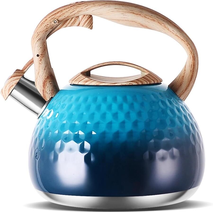Fluitketel Theeketel Waterkoker Water Koken One-Touch Schakelaar 3L Capaciteit Blauw
