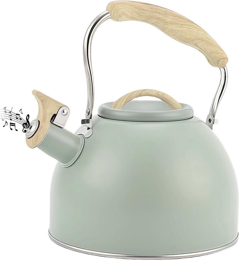 Fluitketel Waterketel Koffie en Thee Anti-hitte handvat 3L Capaciteit Groen