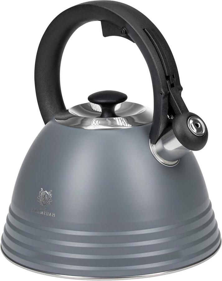 Fluitketel Waterketel Ketel Water Koken Handgreep Koel 3 Liter Grijs
