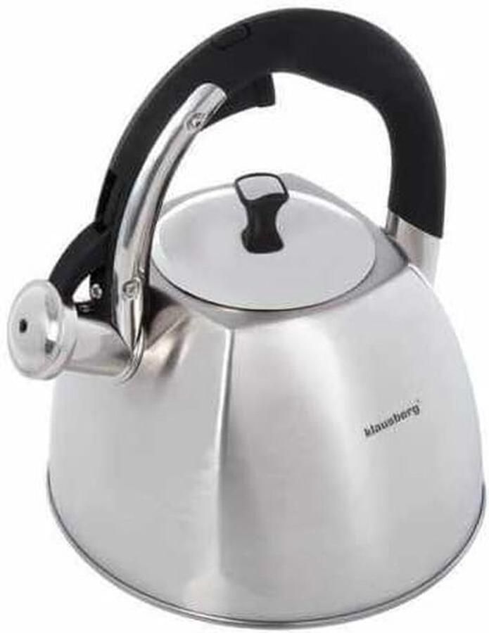 Fluitketel Waterketel Thee Zetten Alle Warmtebronnen 3 Liter Zilver