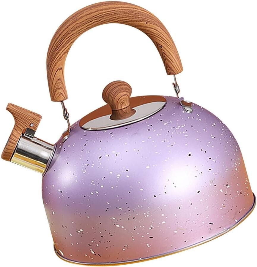 Fluitketel Waterketel Water Koken Grote Capaciteit 2 Liter Paars