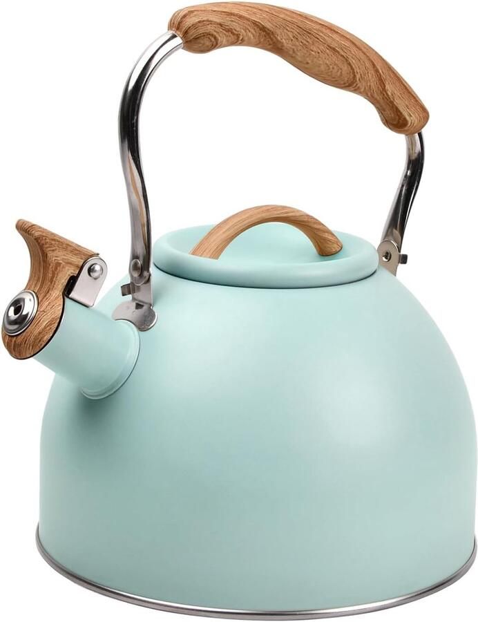 Fluitketel Waterketel Water Koken Zelfnivellerend 3 Liter Turquoise
