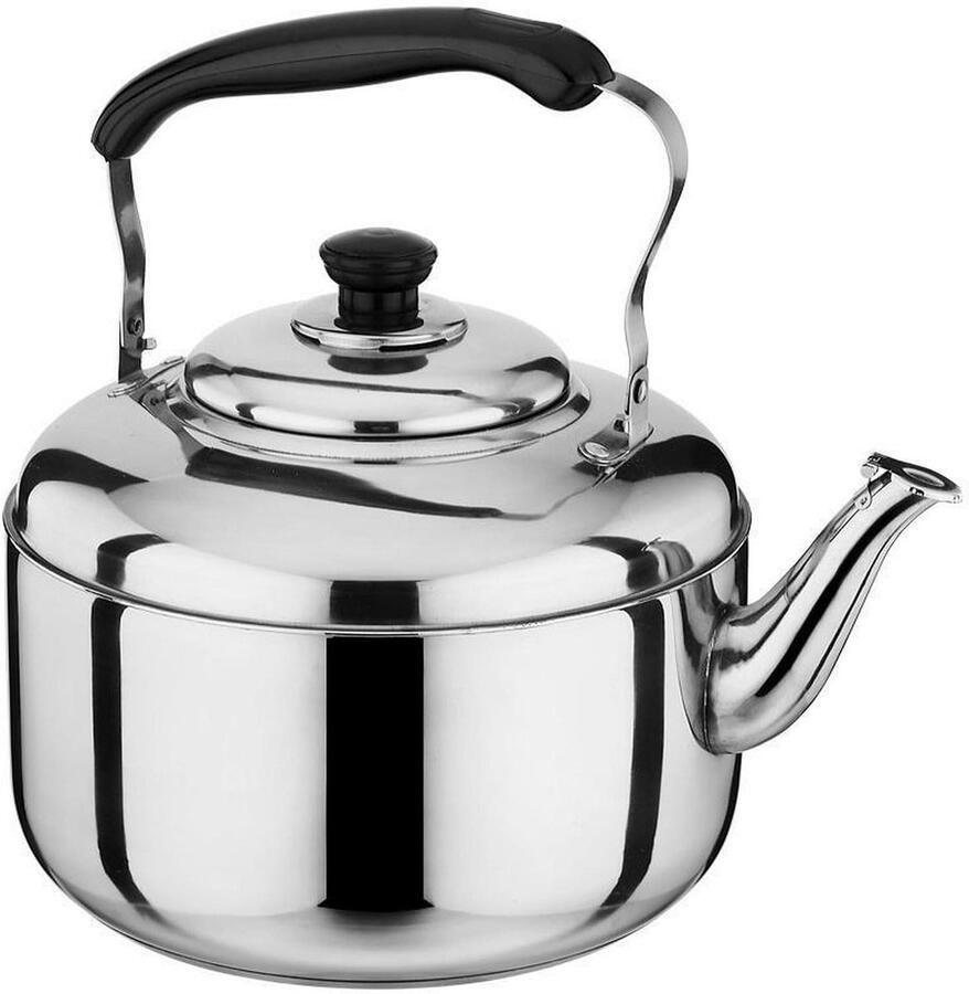Waterkoker met Fluit Theepot RVS Water Koken Snelle Verhitting 4 Liter Zilverkleurig