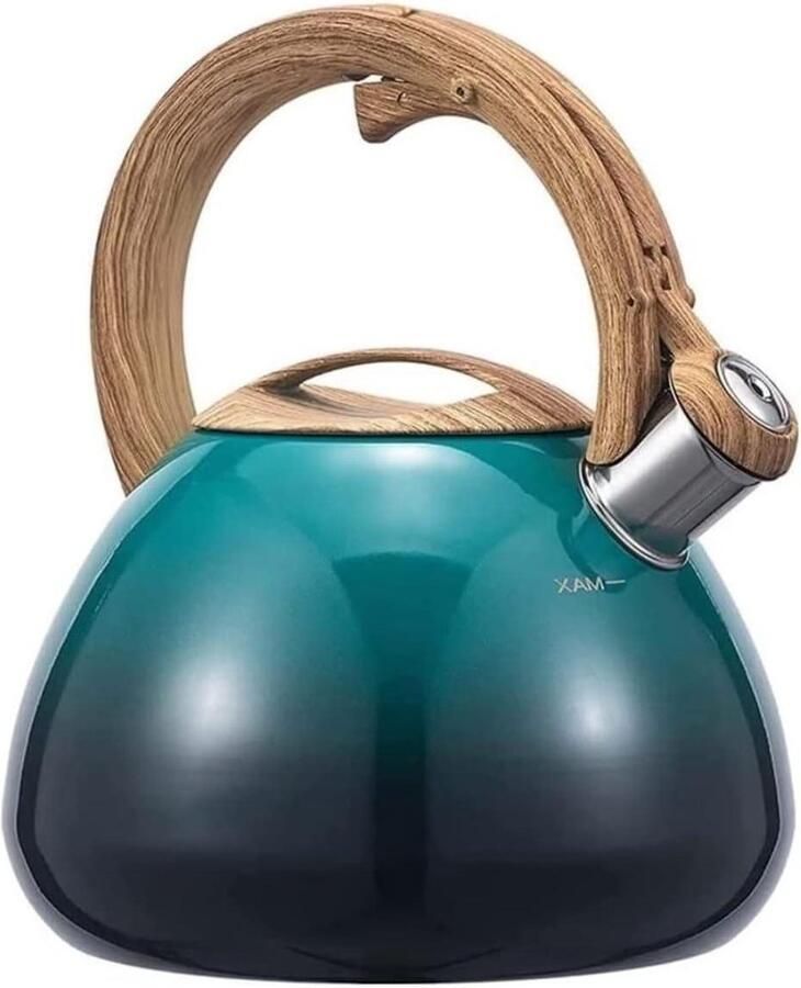 Fluitketel Waterkoker Theepot Water Koken Verdikte Bodem 2.5L Groen