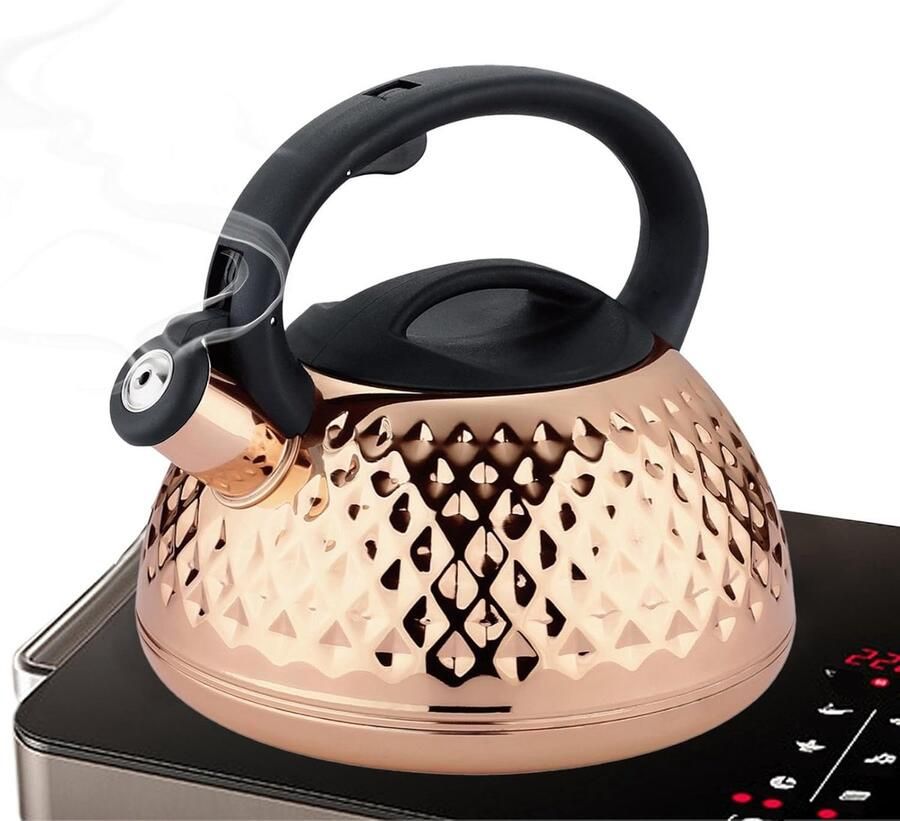 Fluitketel Waterkoker Water Koken Snel Warmtegeleidend 3 Liter Capaciteit