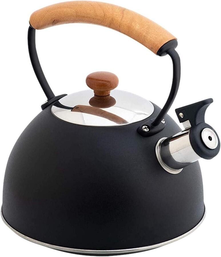 Fluitwaterkoker RVS Theepot Ketel Water Koken Hittebestendige Handgreep 2.8L Capaciteit Zwart