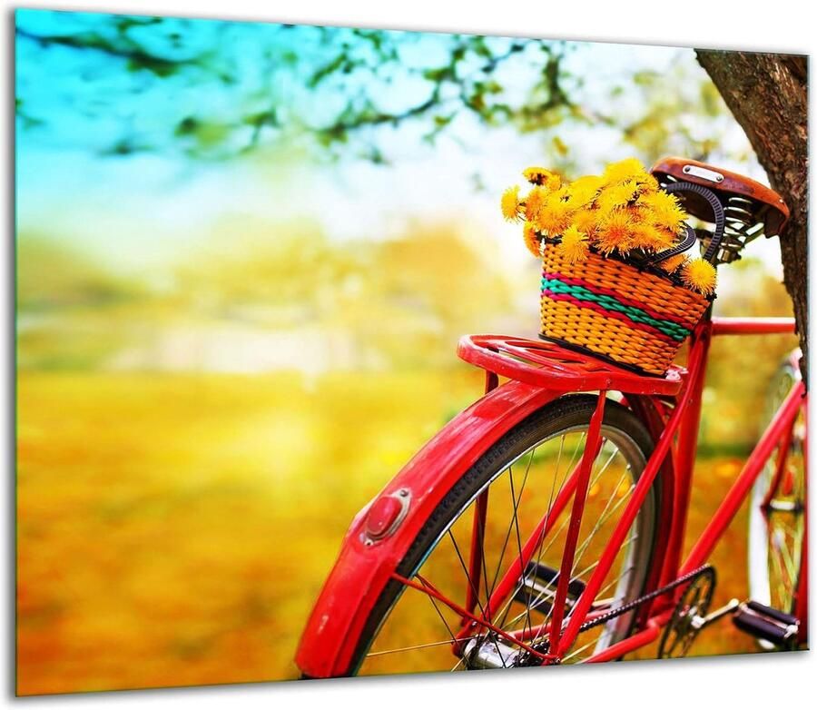 Fornuis Afdekplaat Glasplaat Beschermer Keuken Decoratie Gehard Glas 60 x 52 cm Meerkleurig