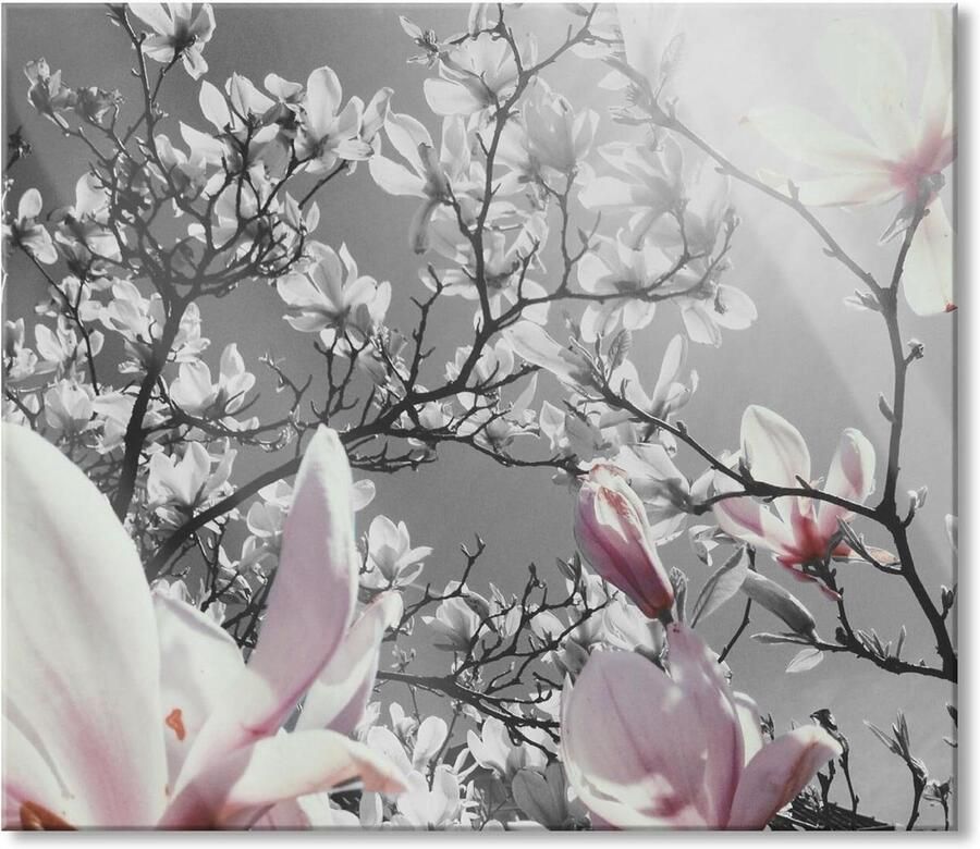 Fornuis Afdekplaat Glasplaat Keuken Werkblad Uitbreiden Extra Spatbescherming 60x52 cm Magnolia Bloemen