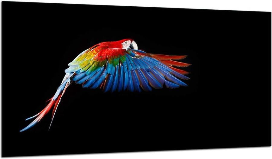 Fornuis Afdekplaat Kookplaat Beschermer Keuken Decoratie Gehard Glas 90 x 52 cm Zwart