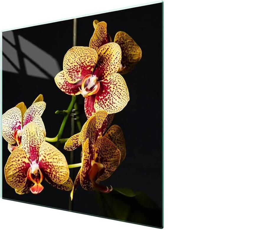 Fornuis afdekplaat Kookplaat beschermer Keuken organiseren Gehard glas 50 x 52 cm Orchidee