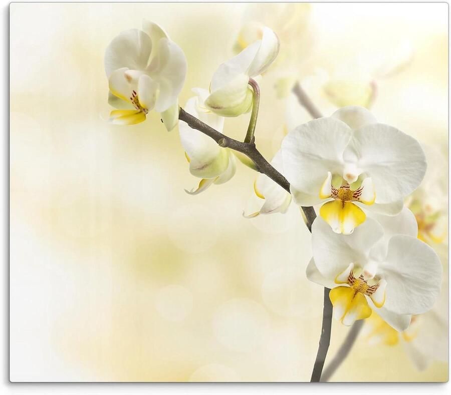 Fornuis Afdekplaat Kookplaat Beschermer Keuken Werkblad 3D Orchideeën Motief 60 x 52 cm Geel
