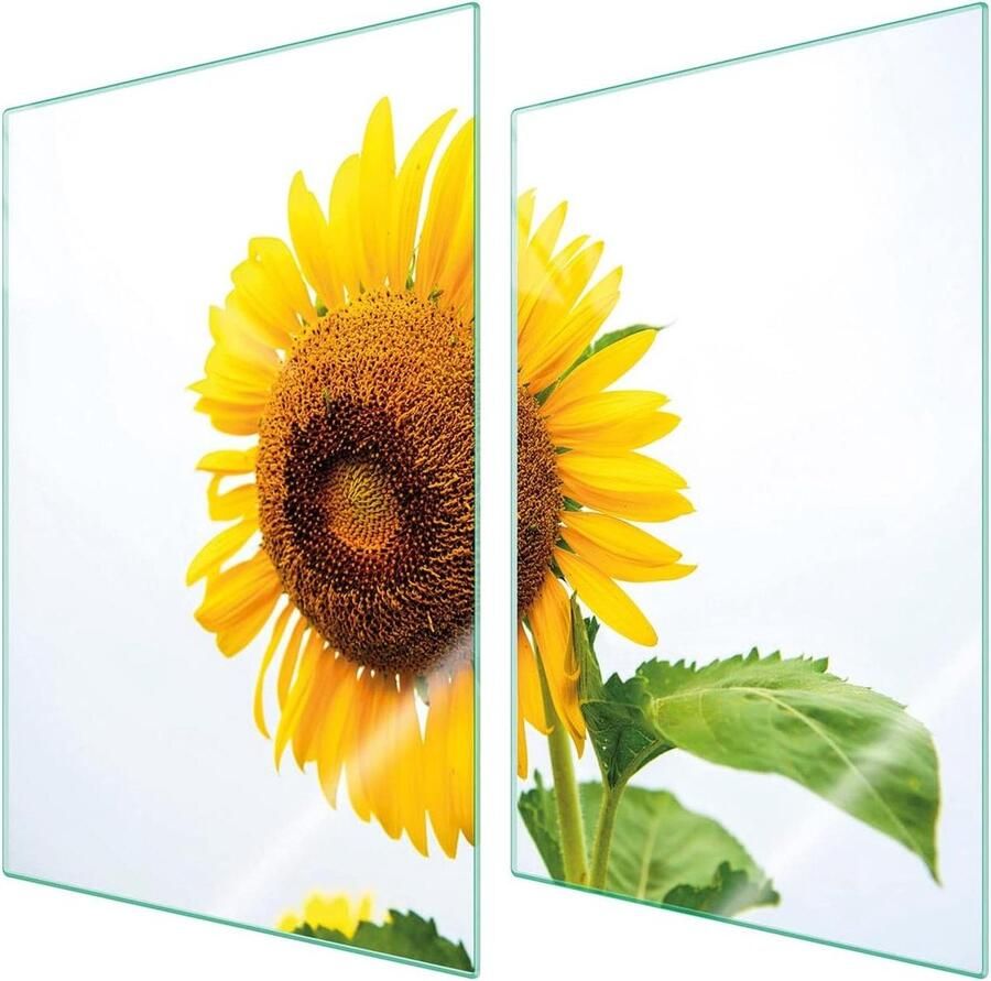Fornuis Afdekplaat Kookplaat Bescherming Keuken Werkruimte Gehard Glas 35 x 52 cm Bloemenpatroon