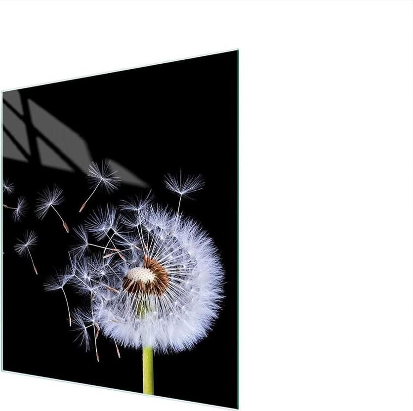 Fornuis Afdekplaat Kookplaat Beschermer Keuken Werkblad Gehard Glas 45 x 52 cm Bloemen