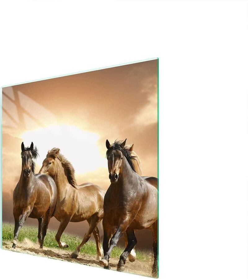 Fornuis Afdekplaat Kookplaat Beschermer Keuken Werkruimte Gehard Glas 50 x 52 cm Paarden