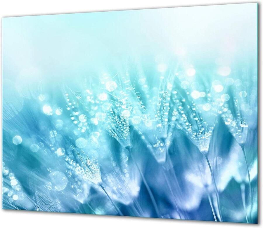 Fornuis Afdekplaat Kookplaat Beschermer Keuken Werkblad Gehard Glas 60x52cm Blauw Bloemen