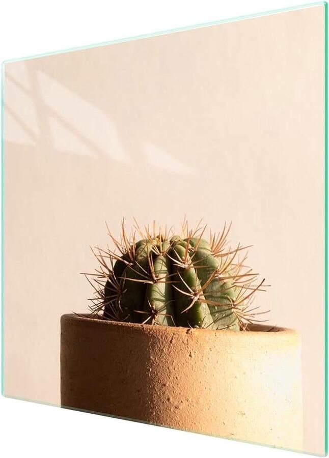 Fornuis Afdekplaat Kookplaat Beschermer Keuken Werkruimte Gehard Glas 50 x 52 cm Cactus Patroon