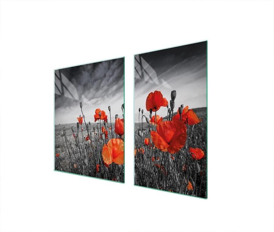 Fornuis Afdekplaat Kookplaat Beschermer Keuken Werkruimte Tweedelig Gehard Glas 100 x 52 cm Patronen