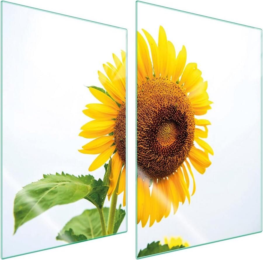 Fornuis afdekplaat Kookplaat bescherming Keuken organiseren Gehard glas 35 x 52 cm Bloemenprint
