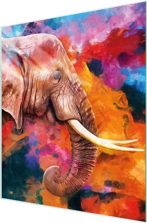 Fornuis afdekplaat Kookplaat bescherming Keuken organiseren Gehard glas 45 x 52 cm Olifant design
