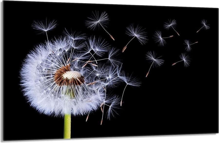 Fornuis afdekplaat Kookplaat bescherming Keuken organiseren Gehard glas 80x52 cm Bloemenprint