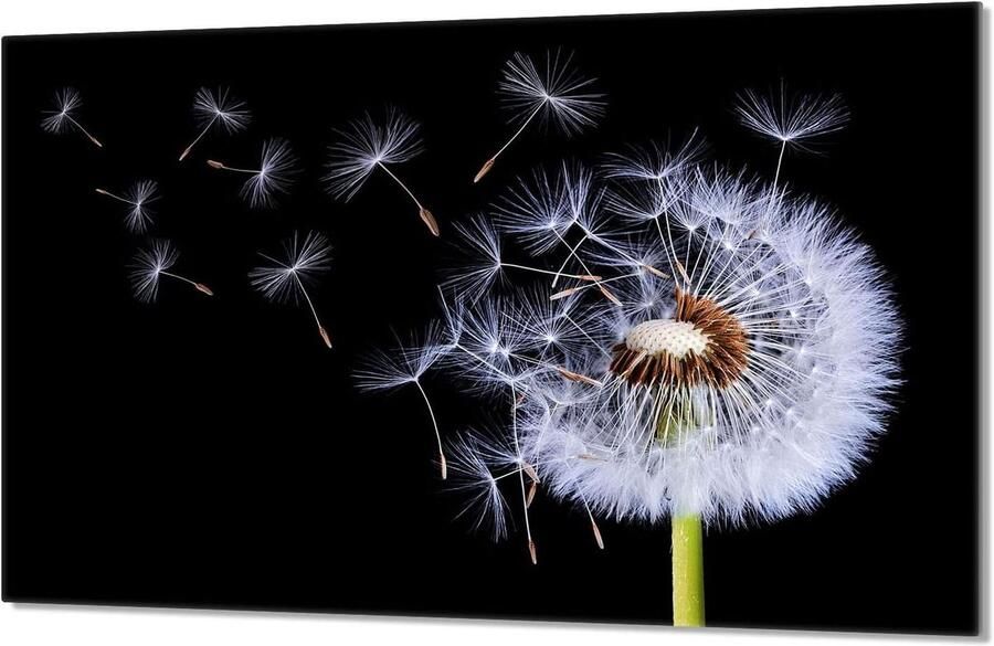 Fornuis afdekplaat Kookplaat bescherming Keuken organiseren Gehard glas 80x52 cm Bloemenprint