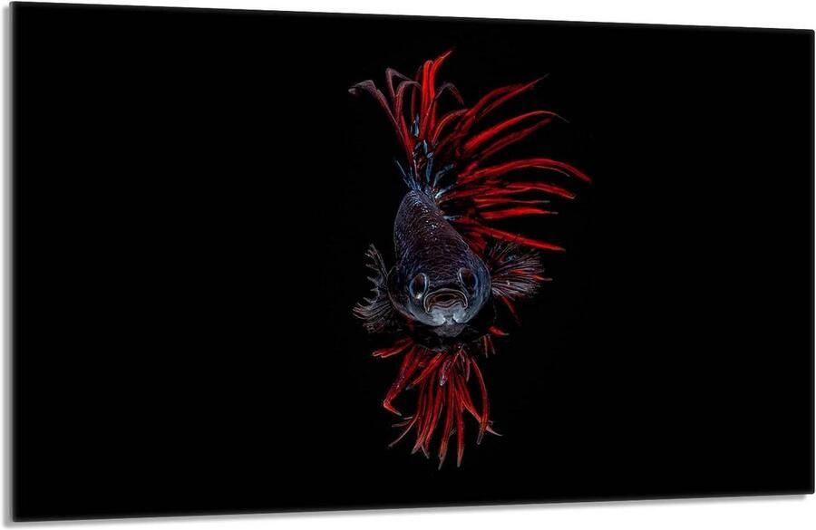 Fornuis afdekplaat Kookplaat bescherming Keuken organiseren Gehard glas 80x52 cm Mozaïek patroon
