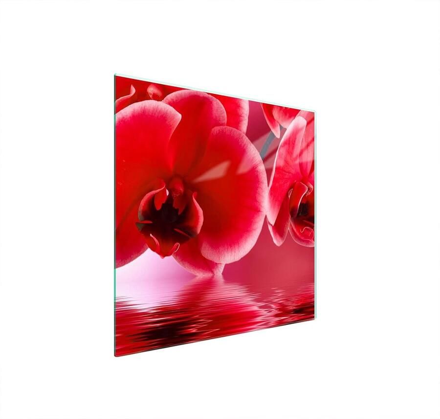 Fornuis afdekplaat Kookplaat bescherming Keuken werkblad Gehard glas 50 x 52 cm Orchidee