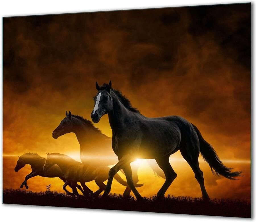 Fornuis Afdekplaat Kookplaatbeschermer Glas Keuken Beschermen Kras en Slagvast 60x52 cm Zwart Paard