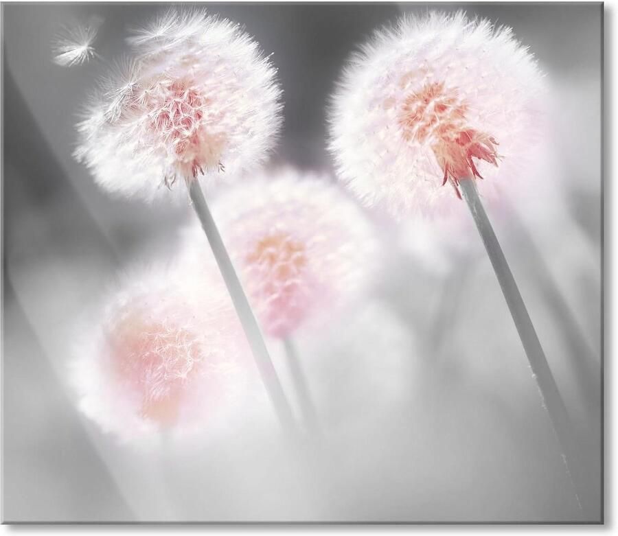 Fornuis Afdekplaat Spatbescherming Glas Keuken Beschermen Echt Glas 60 x 52 cm Paardenbloemen