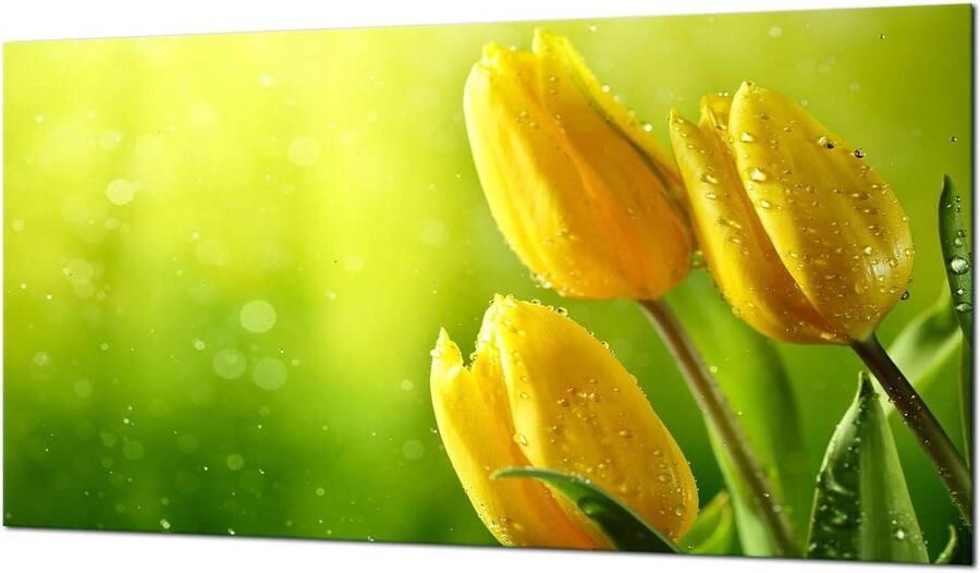 Fornuis Afdekplaat Werkblad Beschermer Keuken Organisatie Gehard Glas 90x52 cm Bloemen Tulpen
