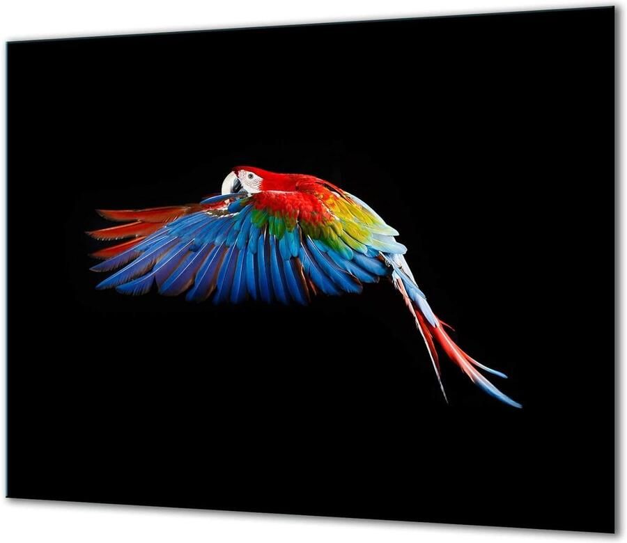 Fornuis Afdekplaat Werkblad Beschermer Keuken Werkruimte Gehard Glas 60x52 cm Zwart