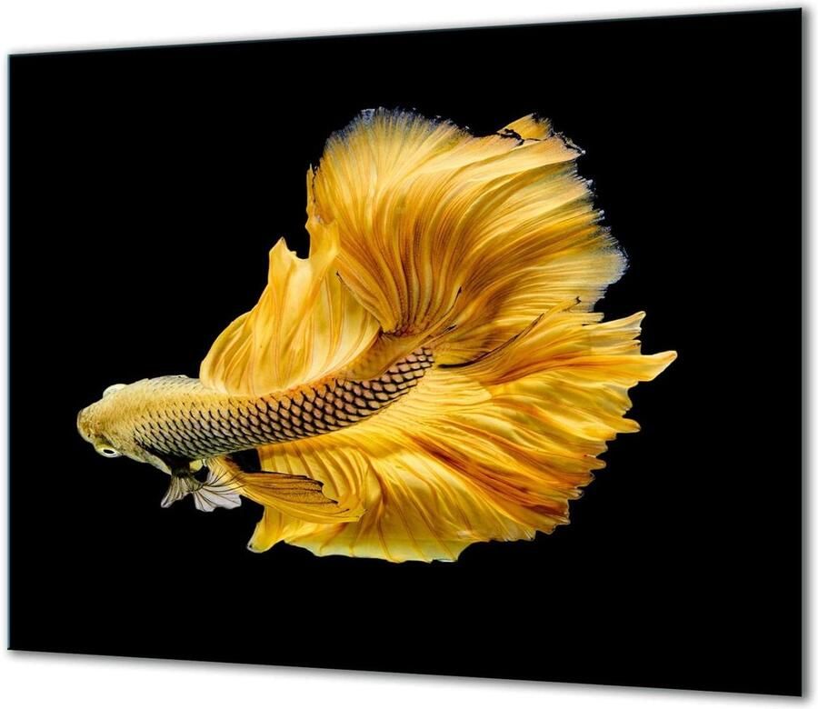 Fornuis Afdekplaat Werkbladbeschermer Glas Keuken Beschermen Krasbestendig Gehard Glas 60x52 cm Zwart