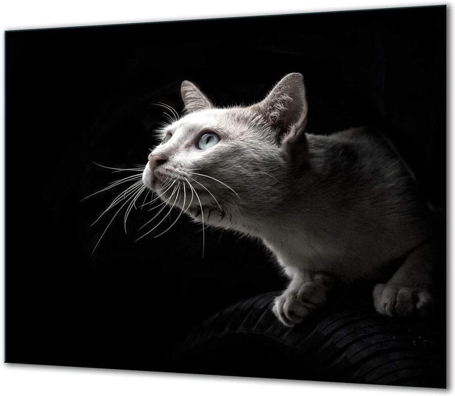 Fornuis Afdekplaat Werkbladbeschermer Glas Keuken Decoratie Gehard Glas 60 x 52 cm Zwart