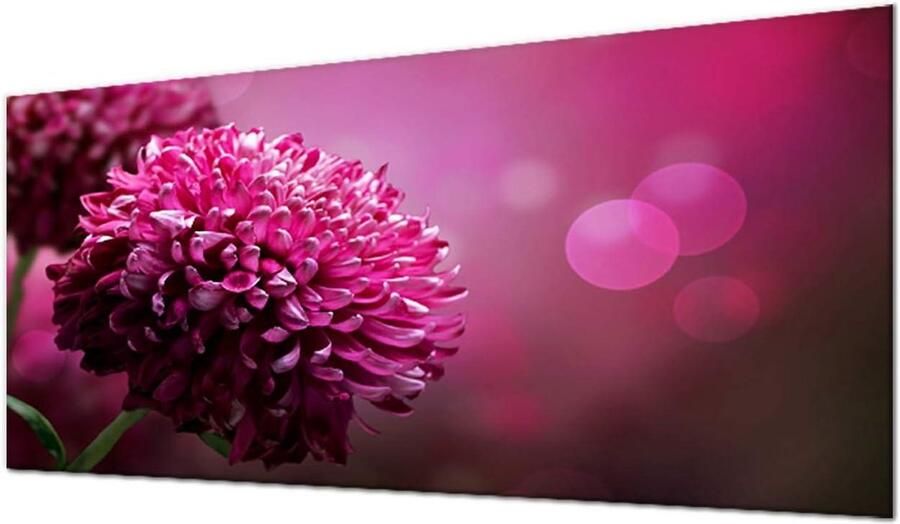 Fornuis Afdekplaat Werkbladbeschermer Glas Kookplaat Beschermen Kras & Slagvast 90 x 52 cm Bloemen