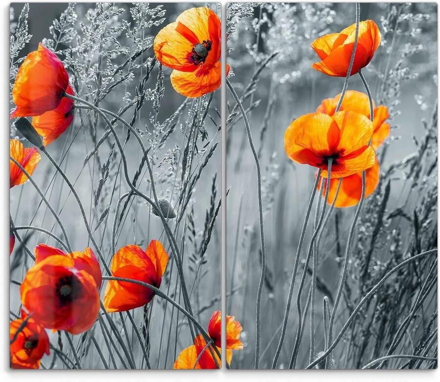 Fornuis afdekplaten glas Kookplaat beschermers Keuken beschermen 3D diepte effect 2x 60 x 52 cm