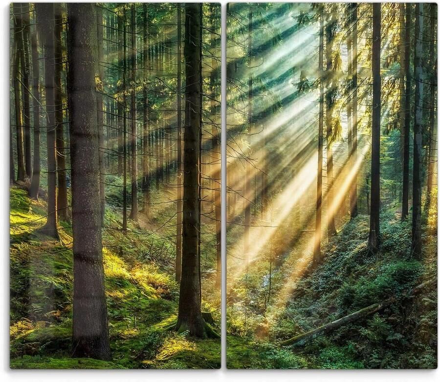Fornuis afdekplaten glas Kookplaat beschermers Keuken decoratie 3D diepte effect Set van 2 Licht doorbreekt bomen