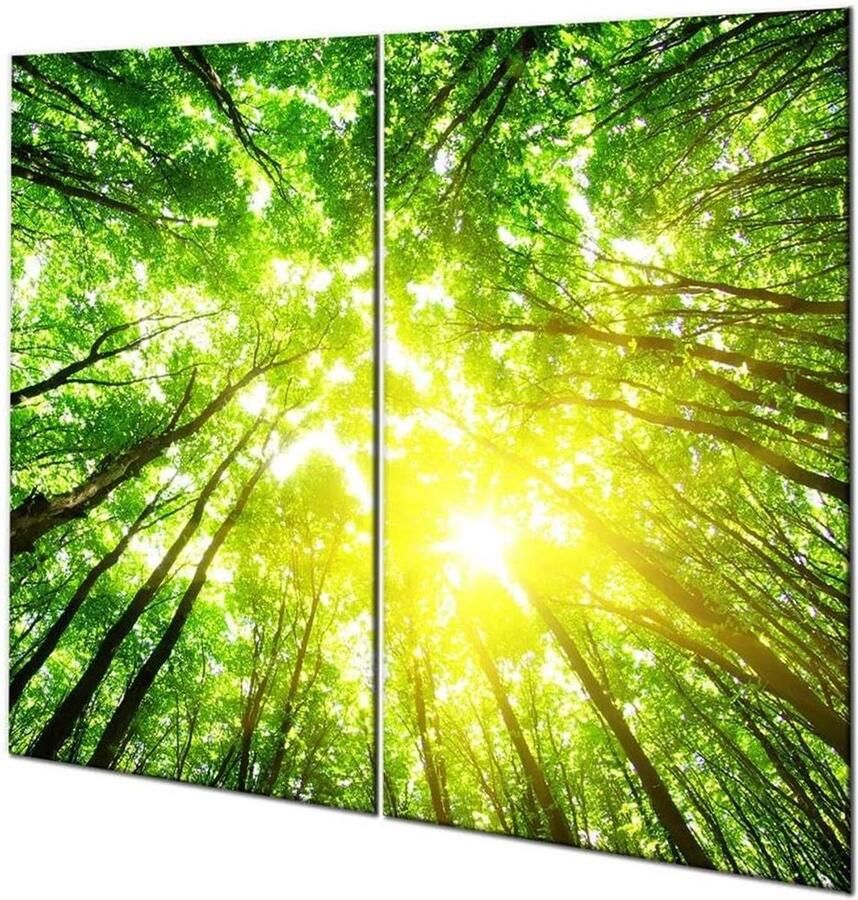 Fornuis afdekplaten Keukenblad beschermers Werkblad creëren Gehard glas 2 x 30 x 52 cm Groen natuur
