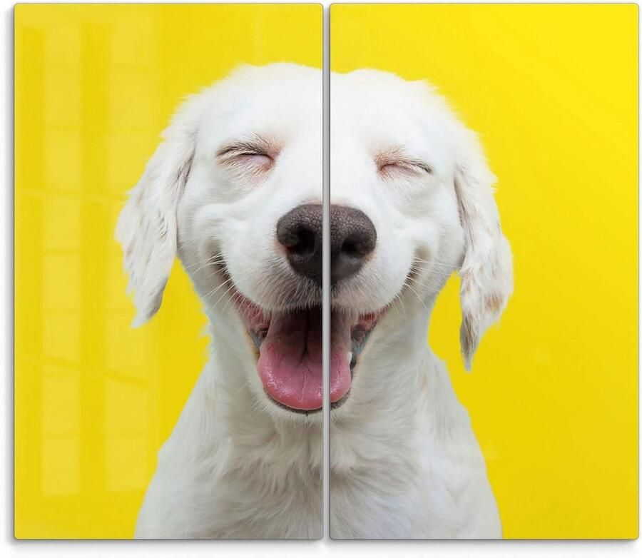 Fornuis afdekplaten Glasplaten kookplaat Keukenbescherming en werkruimte 3D diepte-effect motief 2-delig 60x52 cm Hond motief