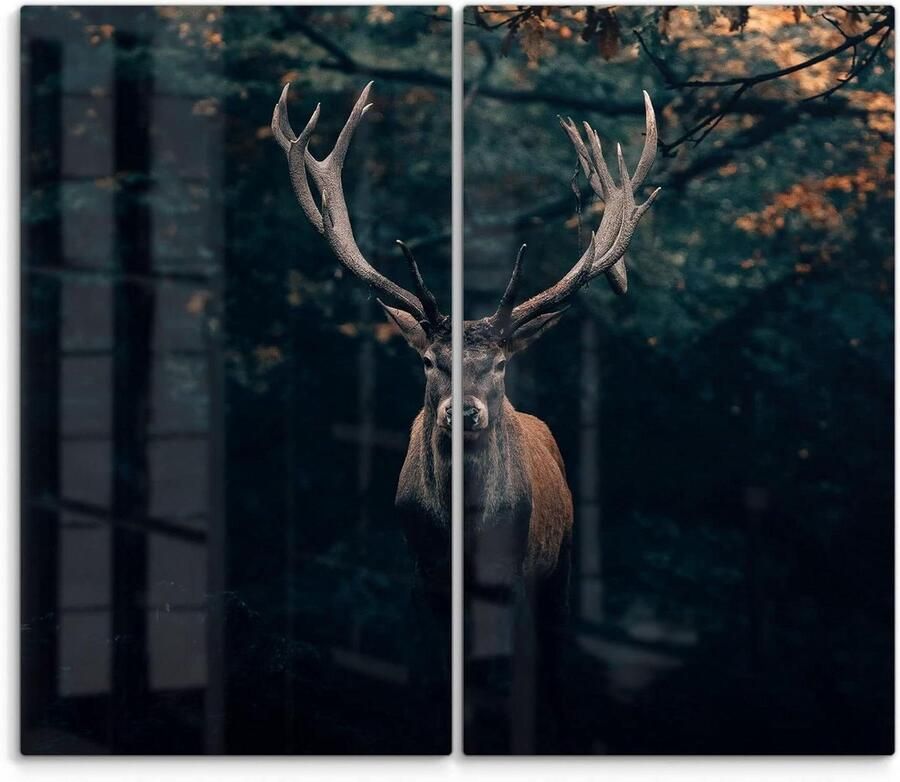 Fornuis afdekplaten Glasplaten set Keukenbescherming 3D diepte effect 2x 60 x 52 cm Eland motief