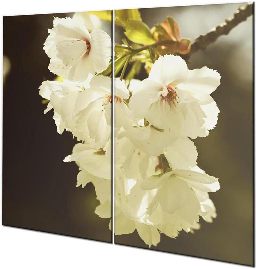 Fornuis Afdekplaten Keramische Deksel Keuken Beschermen Krasbestendig Glas 60x52 cm Wit