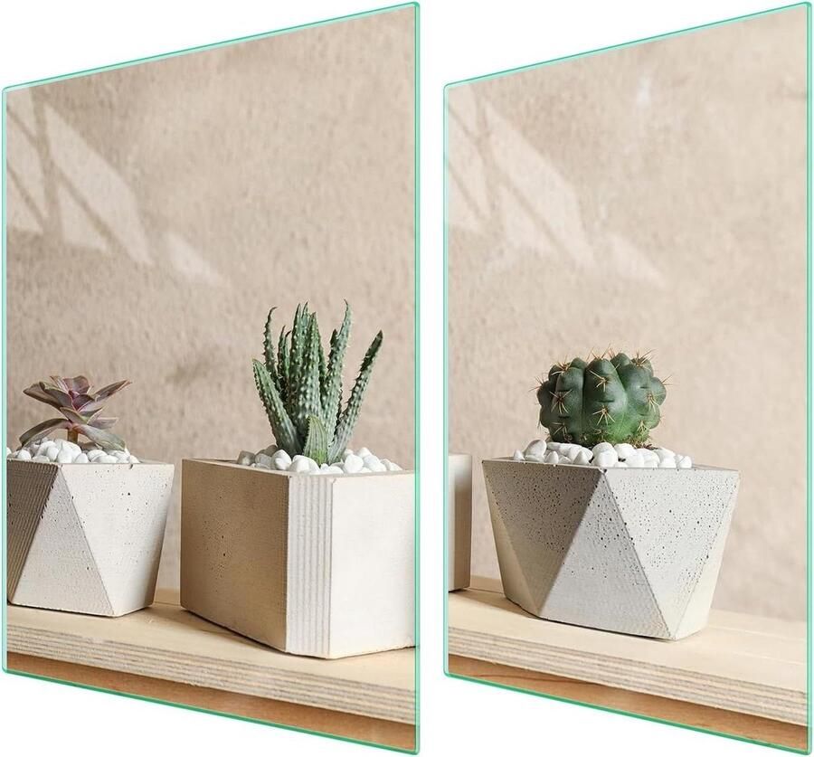 Fornuis Afdekplaten Kookplaat Beschermers Keuken Decoratie Gehard Glas 70x52 cm Cactus